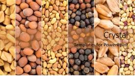  Presentation with clover - Cool new PPT layouts with left - fenugreek radish alfalfa backdrop and a gold colored foreground