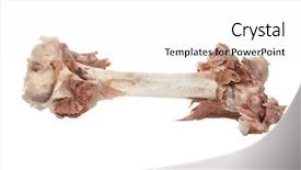  Presentation with meat food - Presentation theme consisting of leftover food - bone with meat background and a white colored foreground
