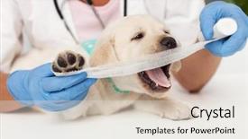  Presentation with bandaging - Slide deck consisting of leg - playing with the gauze background and a sky blue colored foreground