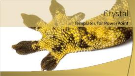  Presentation with feet - Presentation theme with legs-and-feet background and a yellow colored foreground