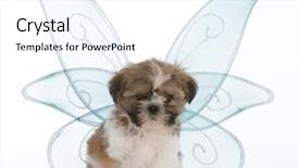  Presentation with puppy - Colorful slides enhanced with legs dressed like an angel backdrop and a white colored foreground