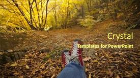  Presentation with traveler - Beautiful theme featuring legs-of-traveler-sitting backdrop and a tawny brown colored foreground