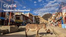  Presentation with kashmir - 