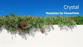  Presentation with santorini - Colorful presentation design enhanced with leisure life settings with plants in santorini greece backdrop and a teal colored foreground