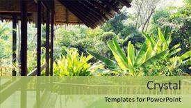  Presentation with tourism hotel - Cool new presentation with leisure travel and tourism concept backdrop and a yellow colored foreground