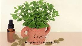  Presentation with essential oil - Presentation design featuring lemon-balm-herb-with-essential background and a coral colored foreground