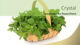  Presentation with immune system - PPT layouts having lemon-balm-herb background and a yellow colored foreground