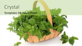  Presentation with immune - Slide set with lemon-balm-herb background and a yellow colored foreground