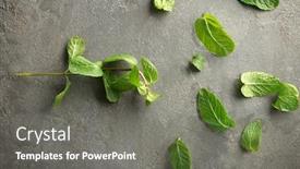  Presentation with lemon - Amazing theme having lemon-balm-on-textured-background backdrop and a gray colored foreground