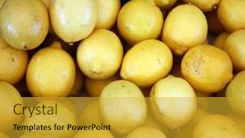  Presentation with lemon - PPT theme consisting of lemon-fresh-picked-lemon-lemons background and a gold colored foreground