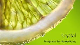  Presentation with lemon - PPT theme with lemon gives the dark aspect background and a yellow colored foreground