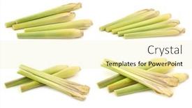  Presentation with lemon grass - Cool new presentation theme with lemon-grass-cymbopogon-citratus backdrop and a blonde colored foreground
