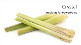  Presentation with lemon grass - Beautiful PPT theme featuring antifungals - lemon grass cymbopogon citratus backdrop and a white colored foreground