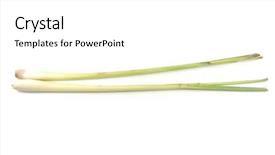  Presentation with lemon grass - Audience pleasing presentation consisting of lemongrass - lemon grass in isolated background backdrop and a white colored foreground
