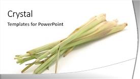  Presentation with lemon grass - Beautiful PPT layouts featuring lemon-grass-in-isolated-white backdrop and a white colored foreground
