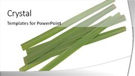  Presentation with lemon grass - Slides enhanced with lemon grass isolated background and a white colored foreground