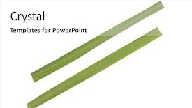  Presentation with lemon grass - Slides consisting of lemon grass background and a white colored foreground