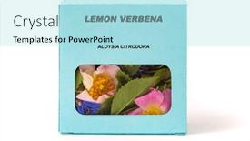  Presentation with herbs - PPT layouts having lemon-verbena-medicinal-herbs background and a arctic colored foreground