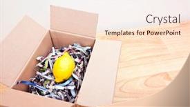  Presentation with lemon - 