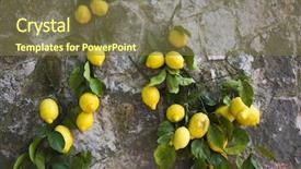  Presentation with lemons - PPT layouts featuring ravello amalfi coast salerno campania background and a tawny brown colored foreground
