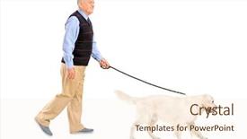  Presentation with full length portrait two men women brown sweater - Cool new presentation theme with annual cycle - flooded trees in mangrove rain backdrop and a tawny brown colored foreground.