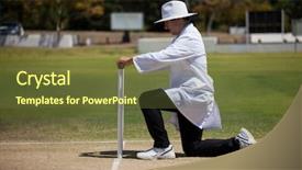  Presentation with company profile potrait - Amazing presentation design having length profile view of umpire backdrop and a tawny brown colored foreground