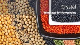  Presentation with black soybean - PPT theme with lentils grain peas groats soybean background and a dark gray colored foreground