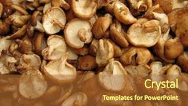 Presentation with mushrooms - Slides having lentinula edodes - shiitake edible mushrooms background and a  colored foreground