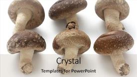  Presentation with frozen edamame soybeans japanese soybeans - Slides enhanced with lentinula edodes - shiitake japanese mushrooms on white background and a  colored foreground