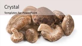  Presentation with frames isolated on white brown - Beautiful presentation theme featuring lentinula edodes - shiitake mushroom isolated backdrop and a soft green colored foreground