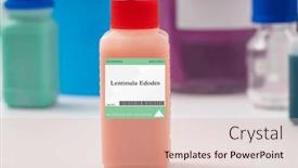  Presentation with fungus - Presentation theme having lentinula-edodes-fungus-used background and a lemonade colored foreground