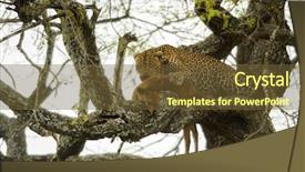  Presentation with serengeti africa - Presentation design enhanced with leopard in a tree with its prey serengeti tanzania africa background and a tawny brown colored foreground