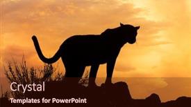  Presentation with africa - PPT theme with leopard-panthera-pardus-silhouetted-against background and a wine colored foreground