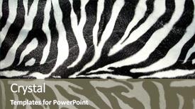  Presentation with pattern - PPT layouts with leopard print - zebra pattern for background background and a violet colored foreground