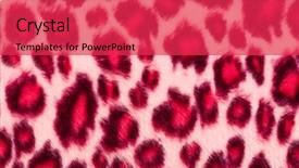  Presentation with animal print - Beautiful PPT theme featuring leopard printed in pink close backdrop and a red colored foreground