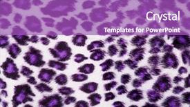  Presentation with animal print - Amazing PPT theme having leopard printed in purple backdrop and a purple colored foreground