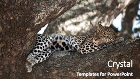 Presentation with serengeti africa - PPT layouts with leopard resting in tree serengeti tanzania africa background and a tawny brown colored foreground