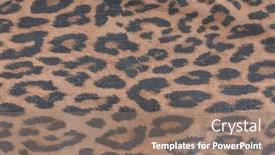  Presentation with pattern - Colorful PPT theme enhanced with leopard-seamless-pattern-texture-close backdrop and a gray colored foreground