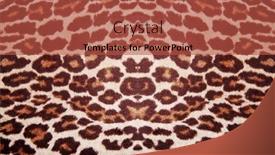  Presentation with textile - Cool new theme with leopard-textile-background backdrop and a red colored foreground