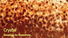  Presentation with cartoon leopard - Colorful PPT theme enhanced with leopard texture as beautiful background backdrop and a tawny brown colored foreground