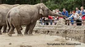  Presentation with maritime - Beautiful presentation featuring les-mathes-france-july-4 backdrop and a coral colored foreground