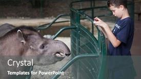  Presentation with zoo - 