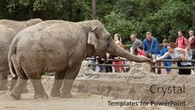  Presentation with maritime - Colorful presentation design enhanced with les-mathes-france-july-4 backdrop and a coral colored foreground