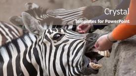  Presentation with maritime - 