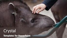  Presentation with maritime - 