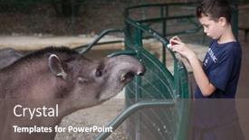 Presentation with zoo - Slide set consisting of les-mathes-france-july-4 background and a gray colored foreground