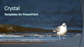  Presentation with black sea - Slide set enhanced with alloy - stainless steel metal texture background background and a dark gray colored foreground