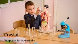  Presentation with chemistry educational - Cool new theme with lesson of chemistry or biology backdrop and a coral colored foreground