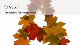  Presentation with maple - PPT theme having letter a from red autumn maple leaves background and a sky blue colored foreground