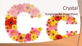  Presentation with alphabet - Presentation design featuring letter c - c flower alphabet background and a sky blue colored foreground